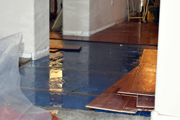 Professional Burst Pipe Cleanup technician working in Cortland, NY